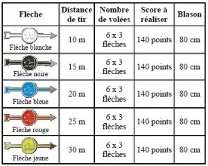 Ensemble Tir à L'Arc Classique – Arc + 11 Flèches – Adulte – Occasion
